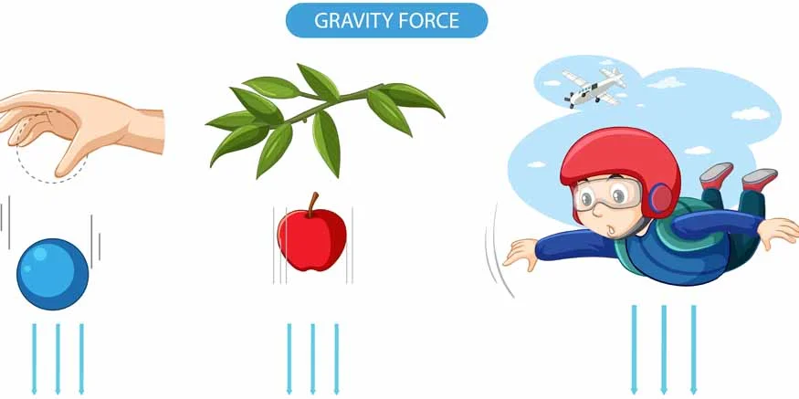 Role of Gravity in creating thrilling rides