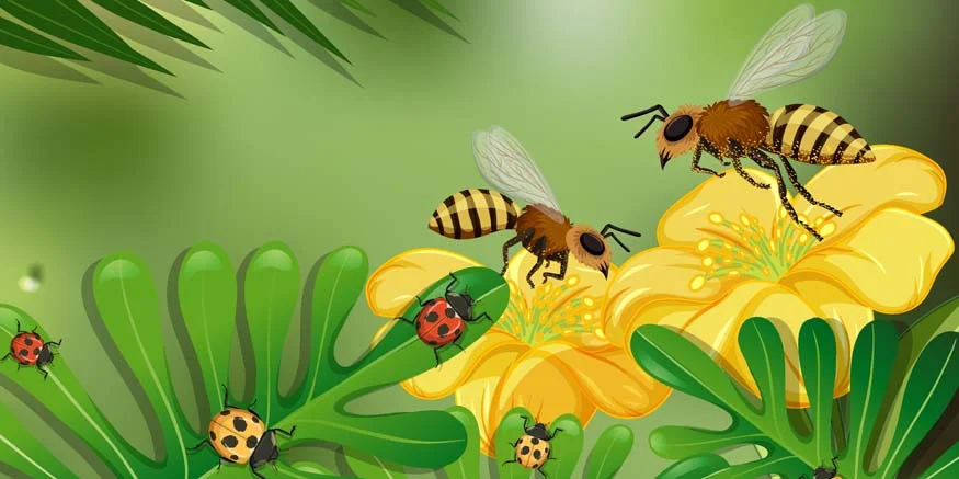 Understanding the Vital Role of Bees in Ecosystems and Food Chains