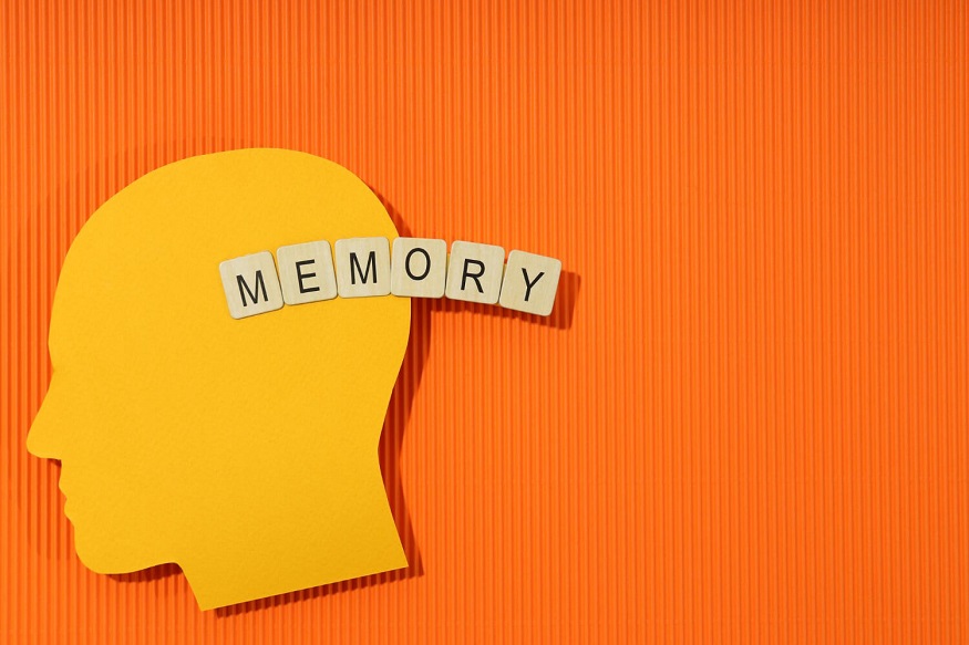 5 Top Tips to Increase Memory Power in Students by 95% I Must Read